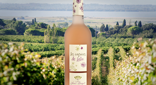 Exklusive Wein-Produkte der EGB